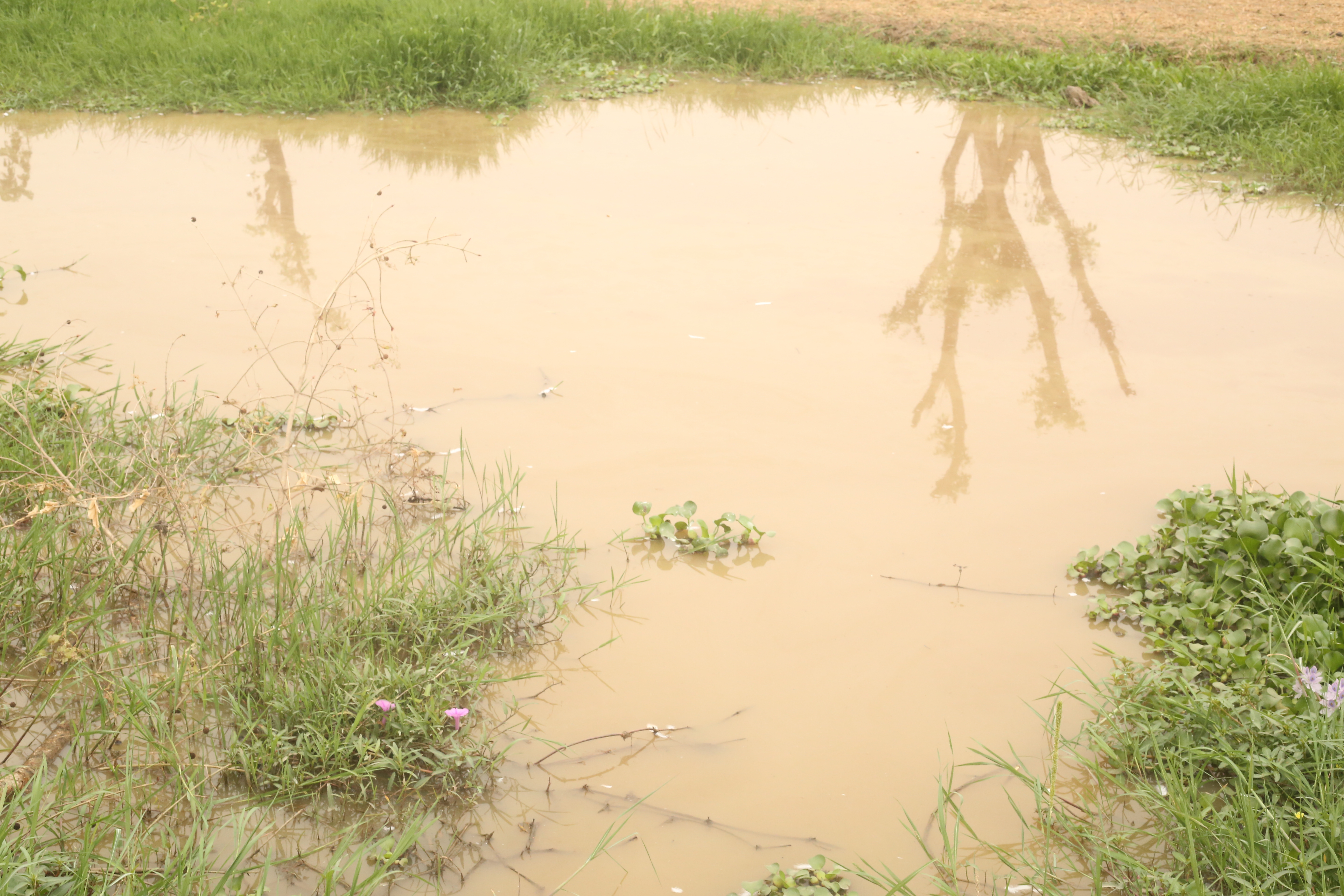 INVESTIGATION: Farmer-Herder Clashes in Nasarawa Through the Eyes of the Victims